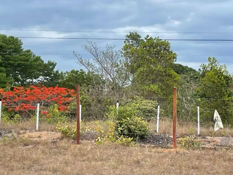 Terreno en Venta en Río Hato Coclé Panamá | $295,000 | MLS# 17906