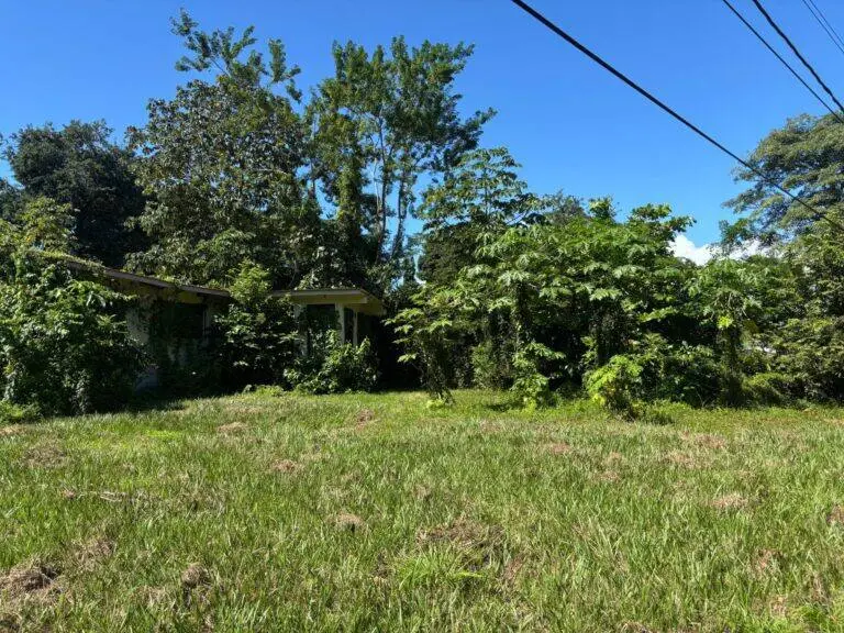 Terreno en Venta en Nueva Gorgona Panamá Oeste Panamá | $302,487 | MLS# 24299