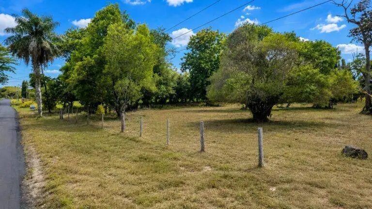 Terreno en Venta en David Chiriqui Panamá | $299,000 | MLS# 24699