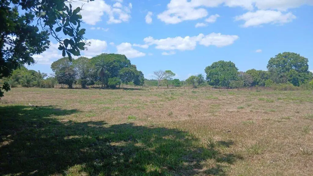 Terreno en Venta en Atalaya Veraguas Panamá | $21,595 | MLS# 24762