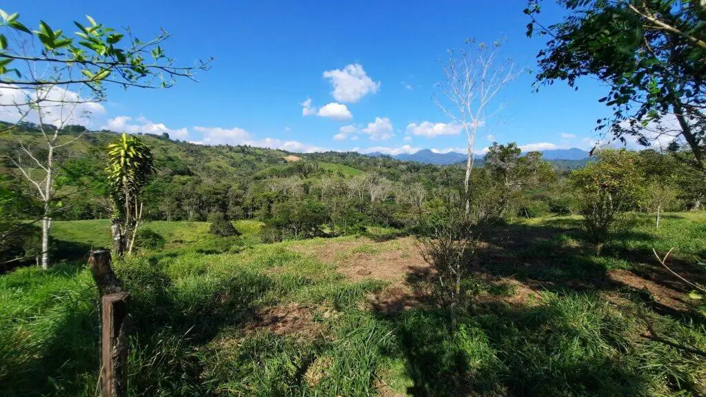 Finca en Venta en Monte Lirio Chiriqui Panamá | $224,000 | MLS# 24995