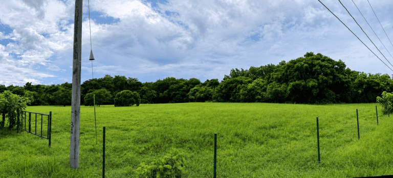 Terreno en Venta en El Espino Panamá Oeste Panamá | $260,000 | MLS# 25155