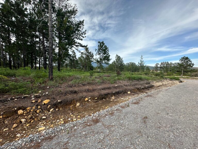 Terreno en Venta en Alto Boquete Chiriqui Panamá | $106,000 | MLS# 25622