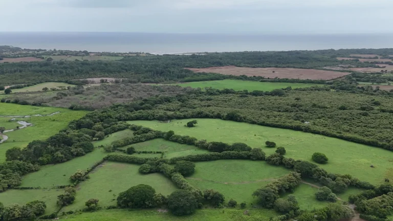 Finca en Venta en Las Tablas Los Santos Panamá | $450,000 | MLS# 25927