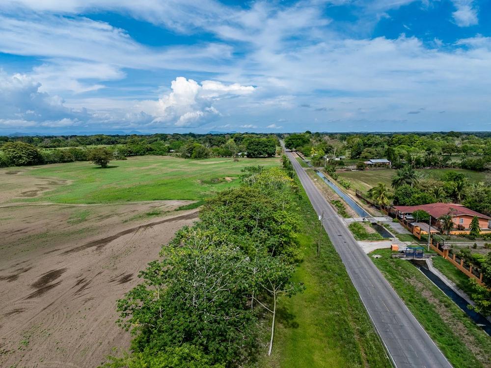 Terreno en Venta en Guarumal Chiriqui Panamá | $105,000 | MLS# 25945