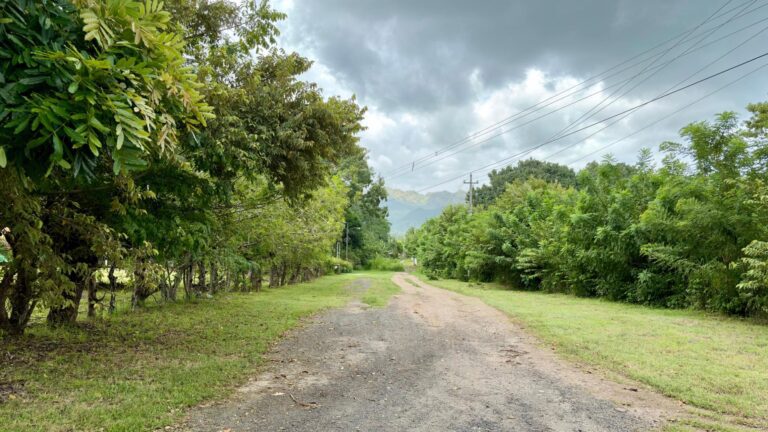 Terreno en Venta en Nueva Gorgona Panamá Oeste Panamá | $400,000 | MLS# 25985
