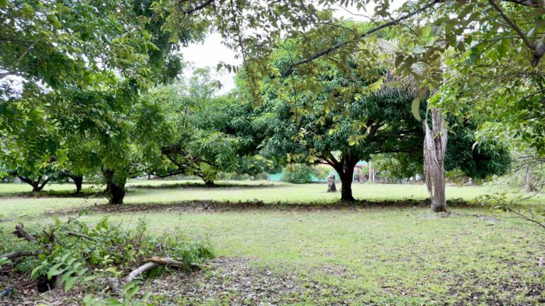 Terreno en Venta en Nueva Gorgona Panamá Oeste Panamá | $400,000 | MLS# 25987